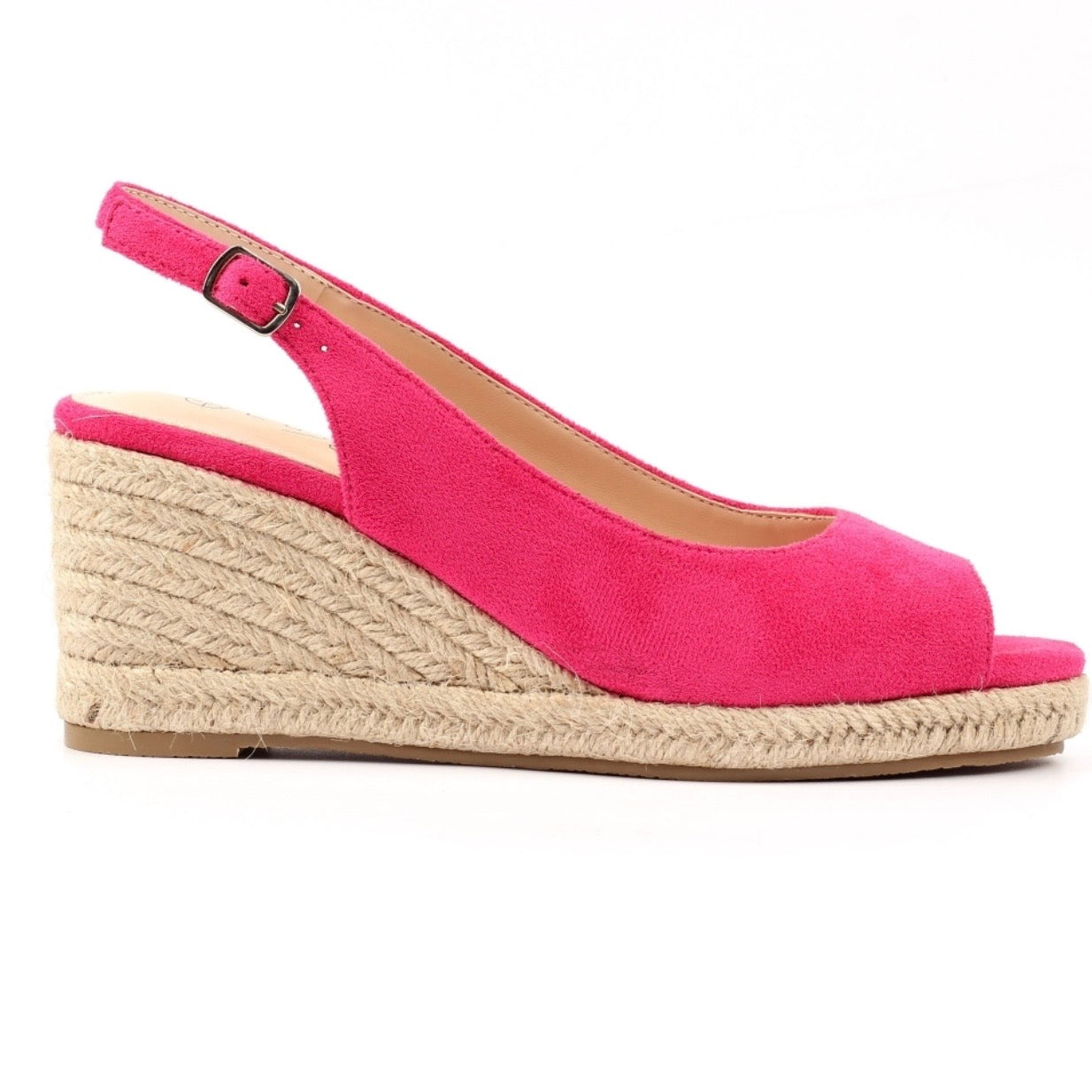 Lunar PIA Wedges